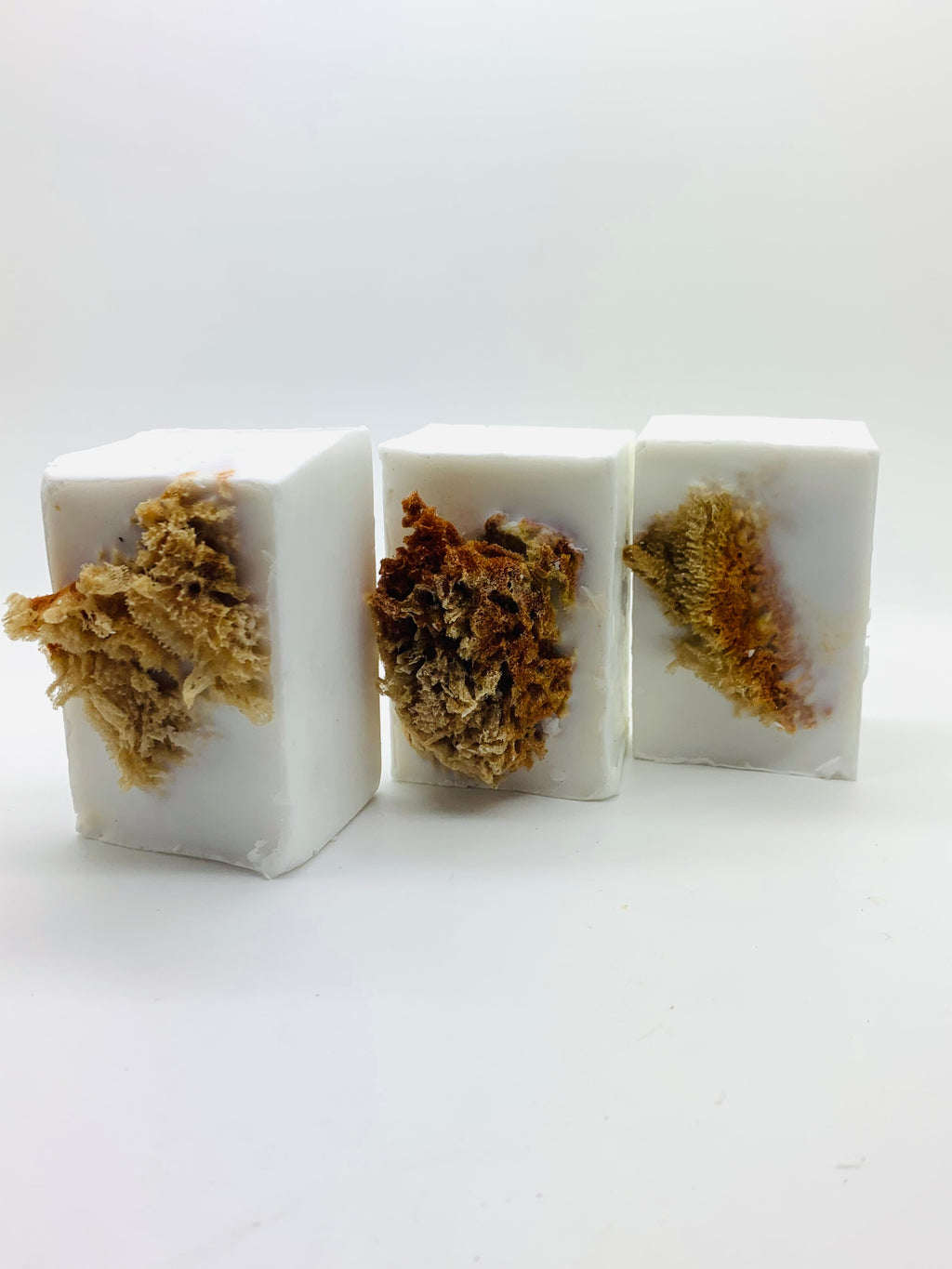 Sea Sponge Facial Soap