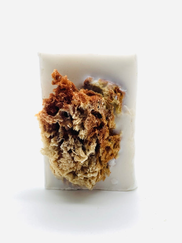 Sea Sponge Facial Soap